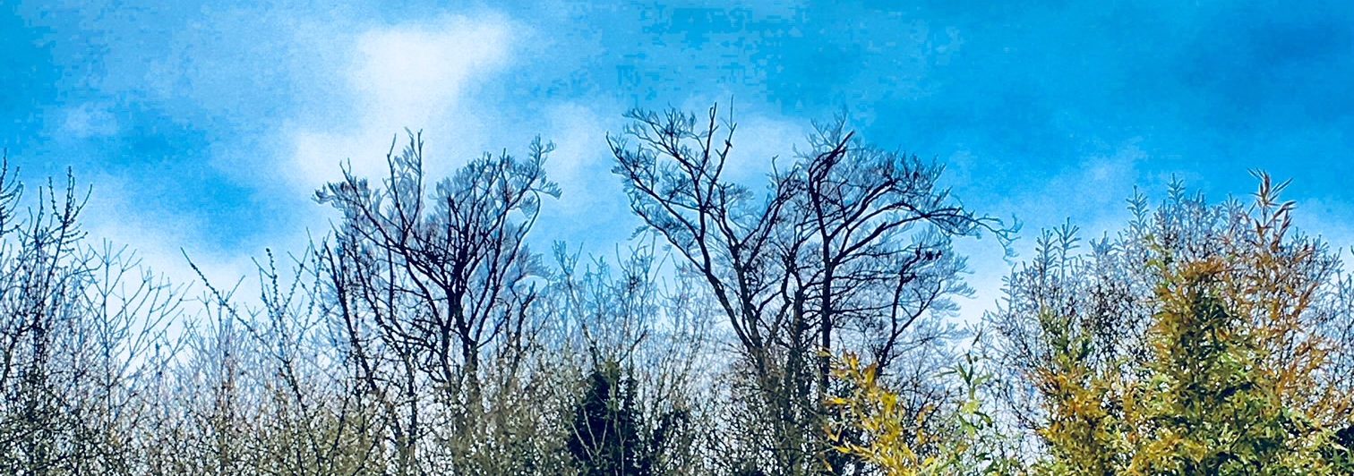 Neues Tariftreue- und Vergabegesetz NRW in Kraft getreten!